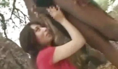سکس ویدیوسکس فارسی تابستانی با سه جوجه آسور