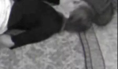 مادر در قانون فیلم سگسی فارسی تست داماد آینده است